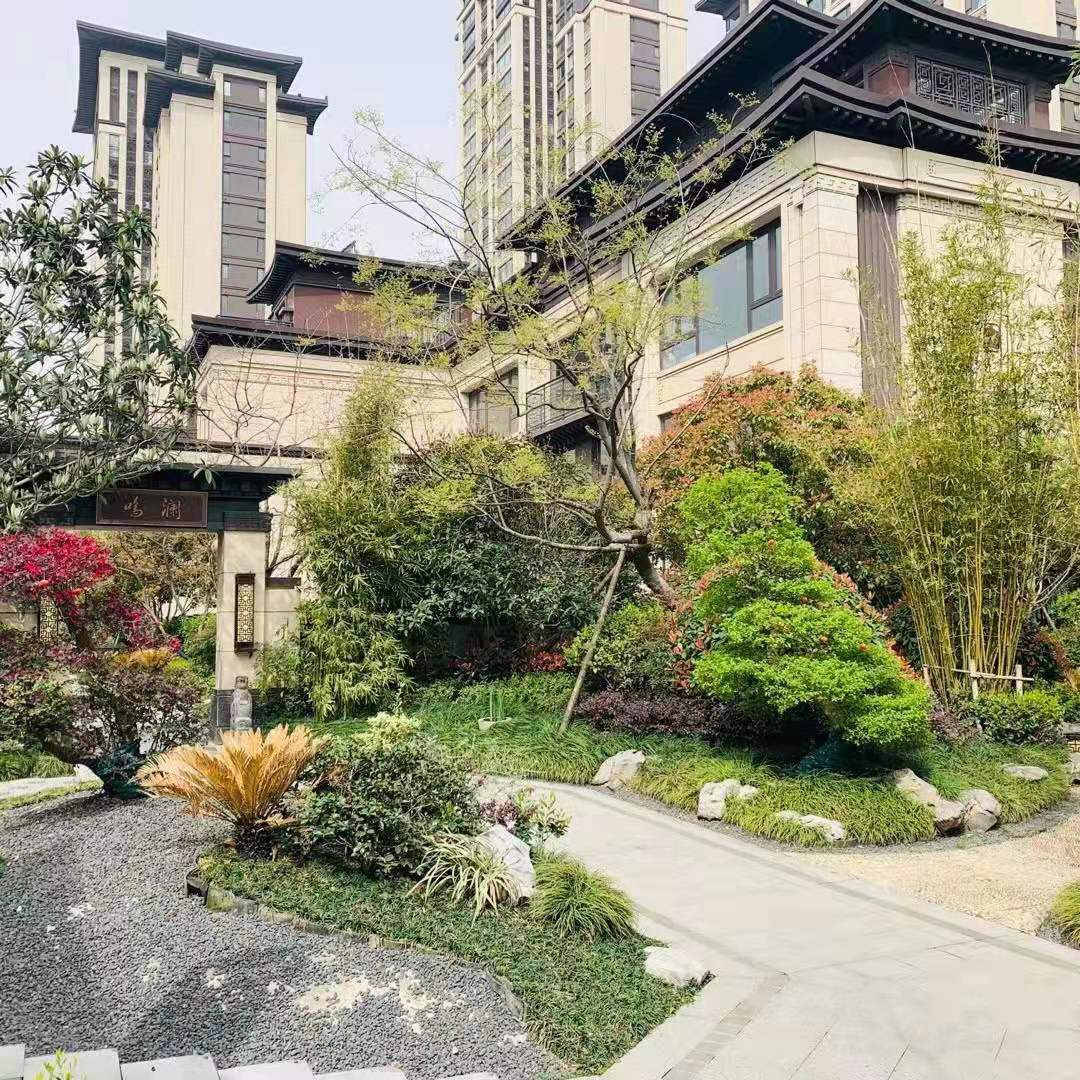 合肥市哪个学校大门最大