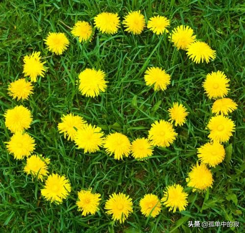 网络推广网络营销公司,十大顶级品牌策划公司?