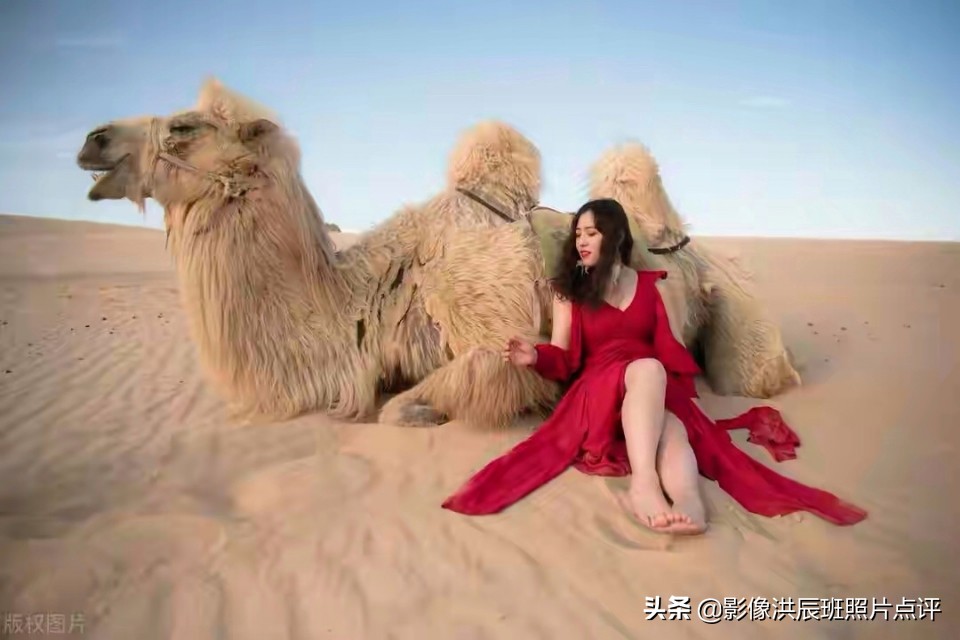 庆祝建党100周年内容？：党的图片