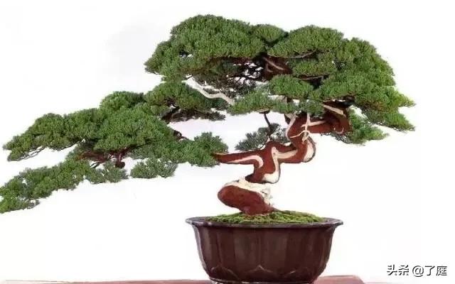 展台搭建网站设计教程视频