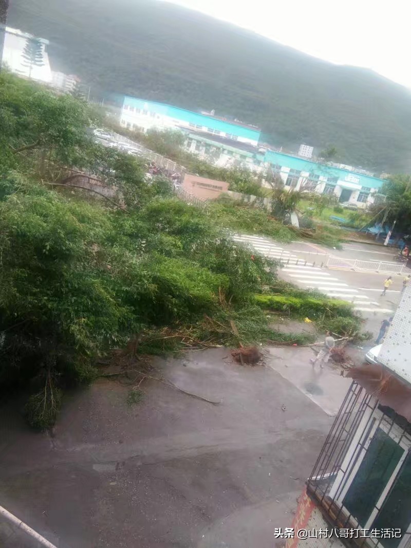 局地暴雨，雷雨大风！台风“玛娃”已生成，将发展为超强台风，对浙江有影响吗？：暴雨大暴雨台风来了