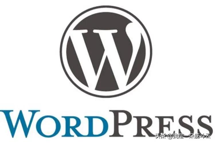 网站整站制作流程图,只注册了一个域名,怎么建网站?