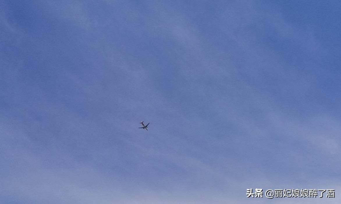 三亚停课停工停业
