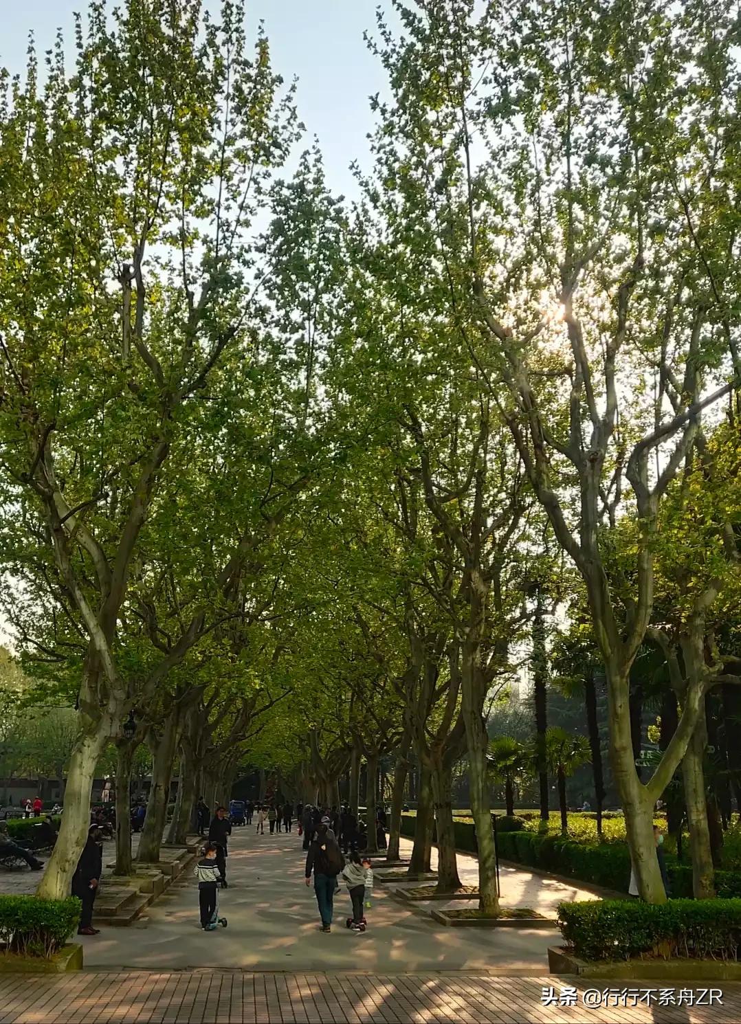 境外旅行险哪个好，旅行险最建议买的三个险种
