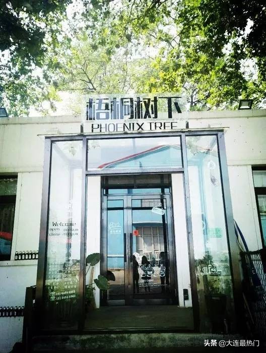 大连市绿化树种都有什么 大连市绿化树种都有什么