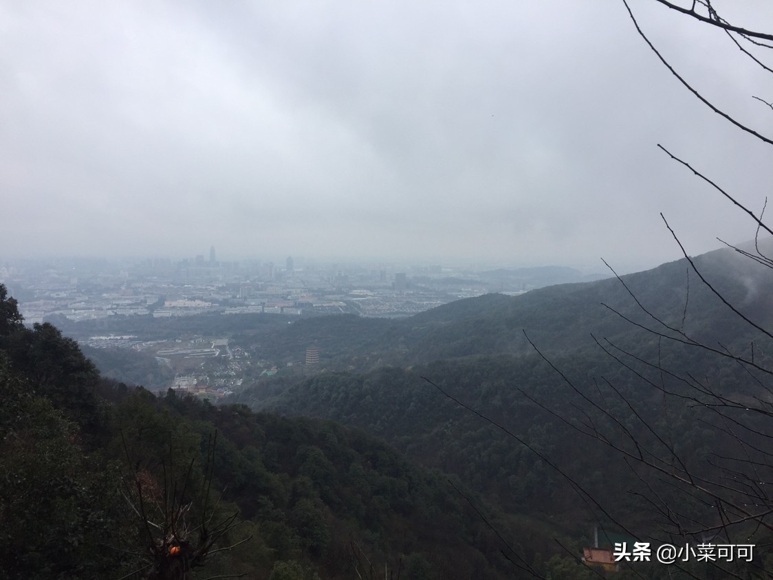 奔驰被撞