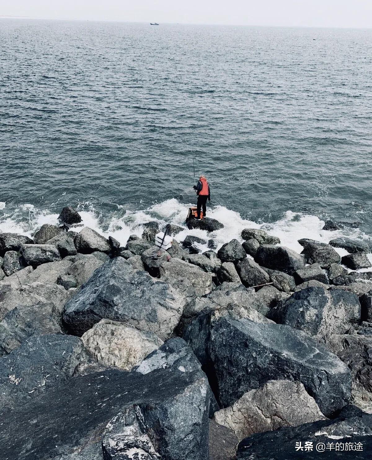 福建海钓鲫鱼怎么样