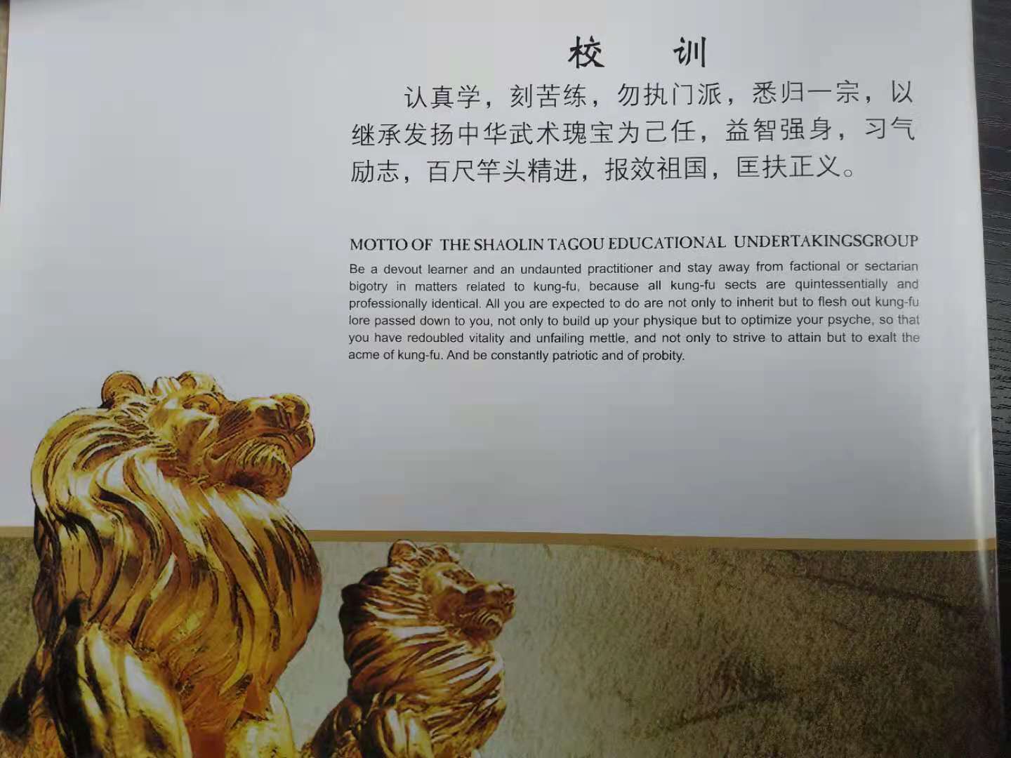 河南塔沟武校在全国武校属于什么水平？