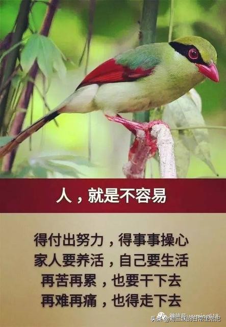 [国庆中秋双节放8天]中秋国庆双节要来，你会回故乡陪陪日渐老去的父母吗？