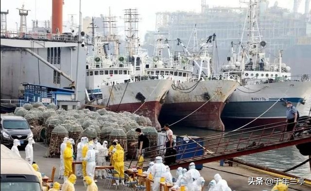 大连市4中高中部怎么样