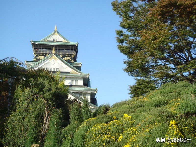 日本海外生活规划，日本国外生活