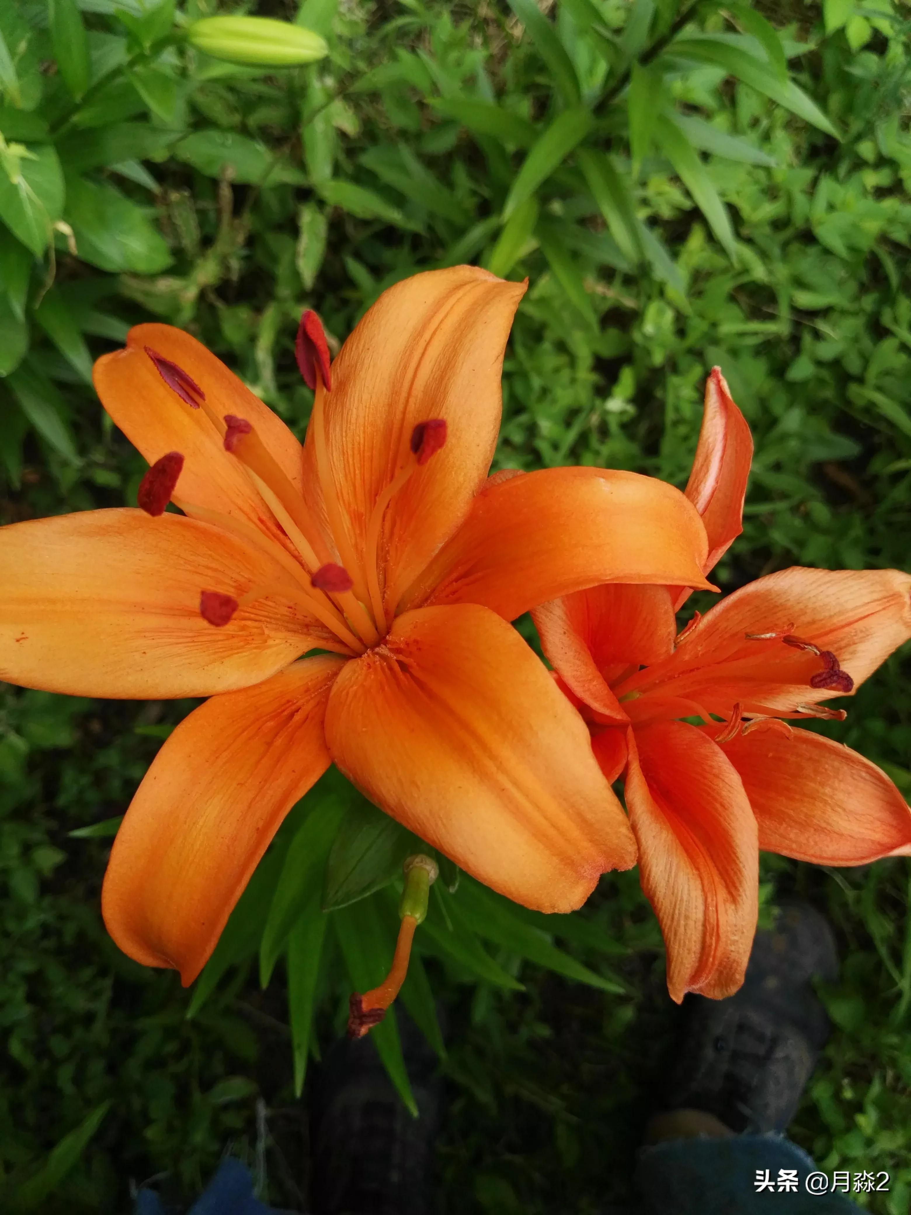 女孩喜欢什么女孩喜欢什么礼物