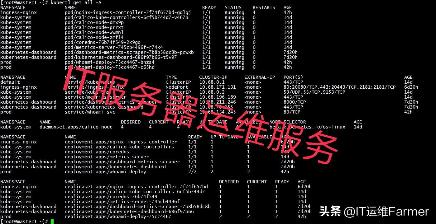 搭建网站影视网