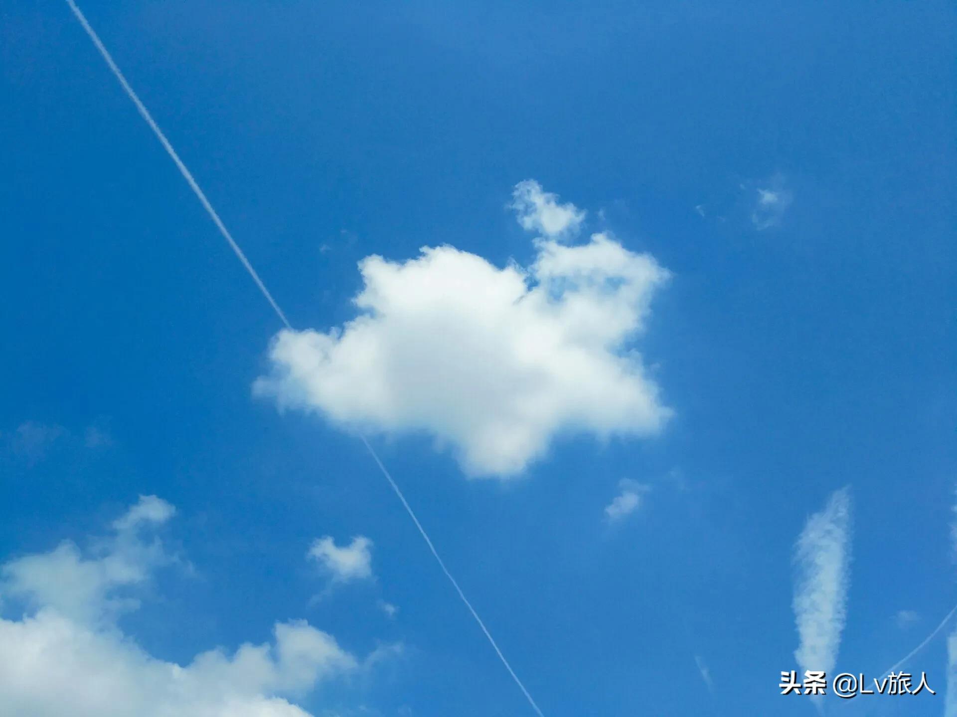 农家乐app开发功能