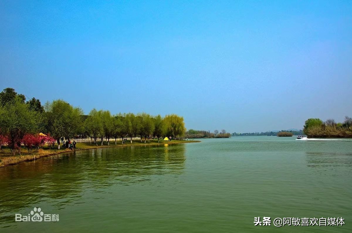 苏州市鸟是什么鸟 苏州市鸟是什么鸟