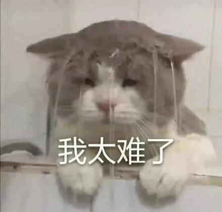 心灵感应少女，心灵感应少女1.0安卓版下载安装