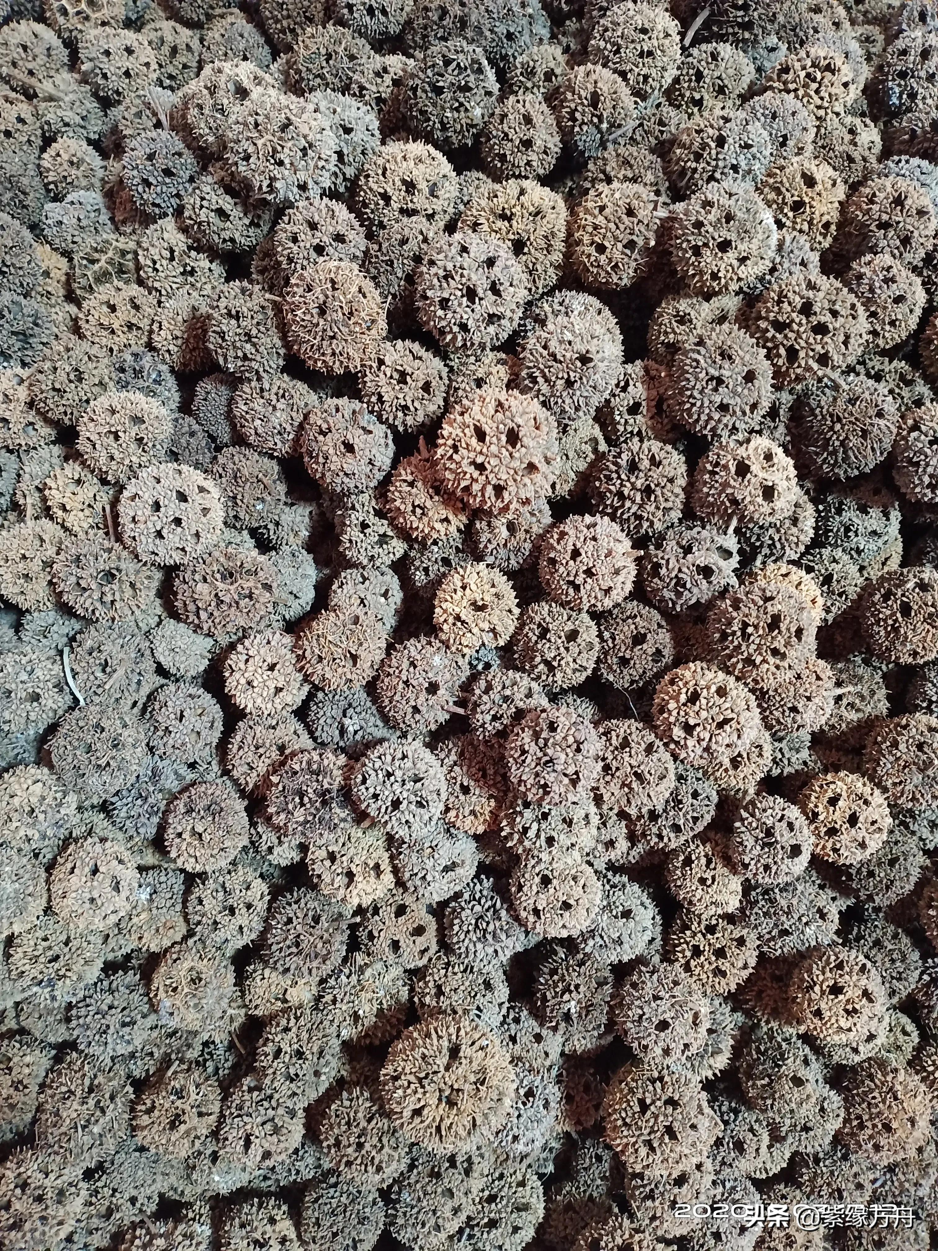 真的很在乎真的很在乎杨坤歌词