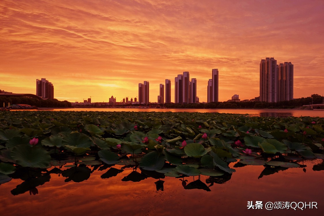 [索尼黑卡]索尼的黑卡，1和2哪个好？