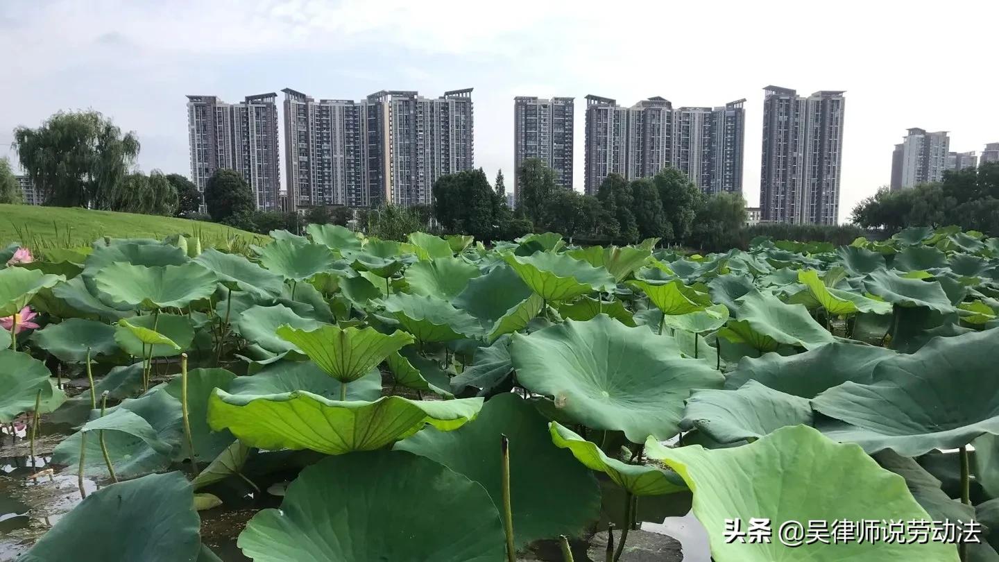 劳动工伤如果赔偿不合理，要找什么部门去投诉？：工伤维权竟说不认识