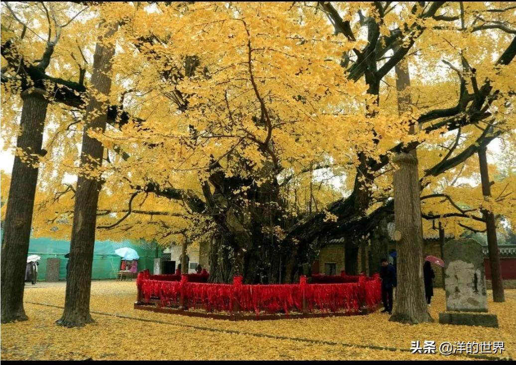 山东日照婚纱摄影基地，山东日照婚纱摄影基地怎么样