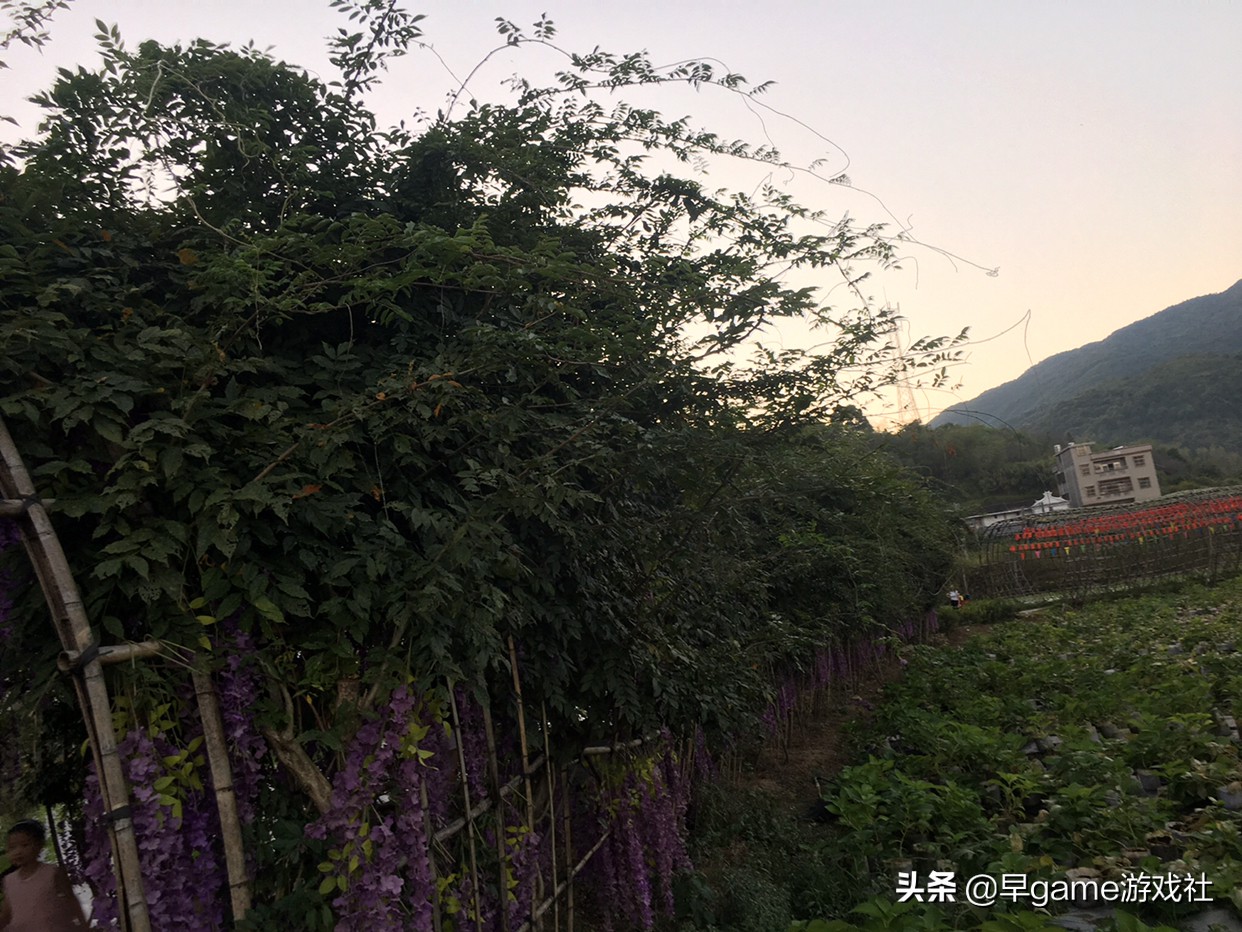 lol后续赛事安排（lol世界赛后还有什么比赛？）
