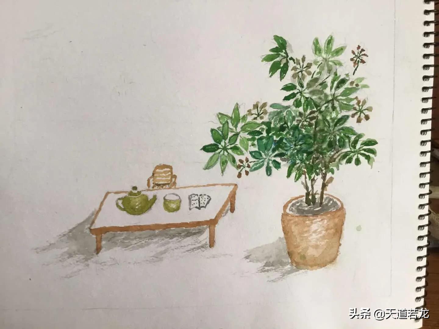 如何抓好学生的知识落实，如何抓好学生的知识落实情况汇报