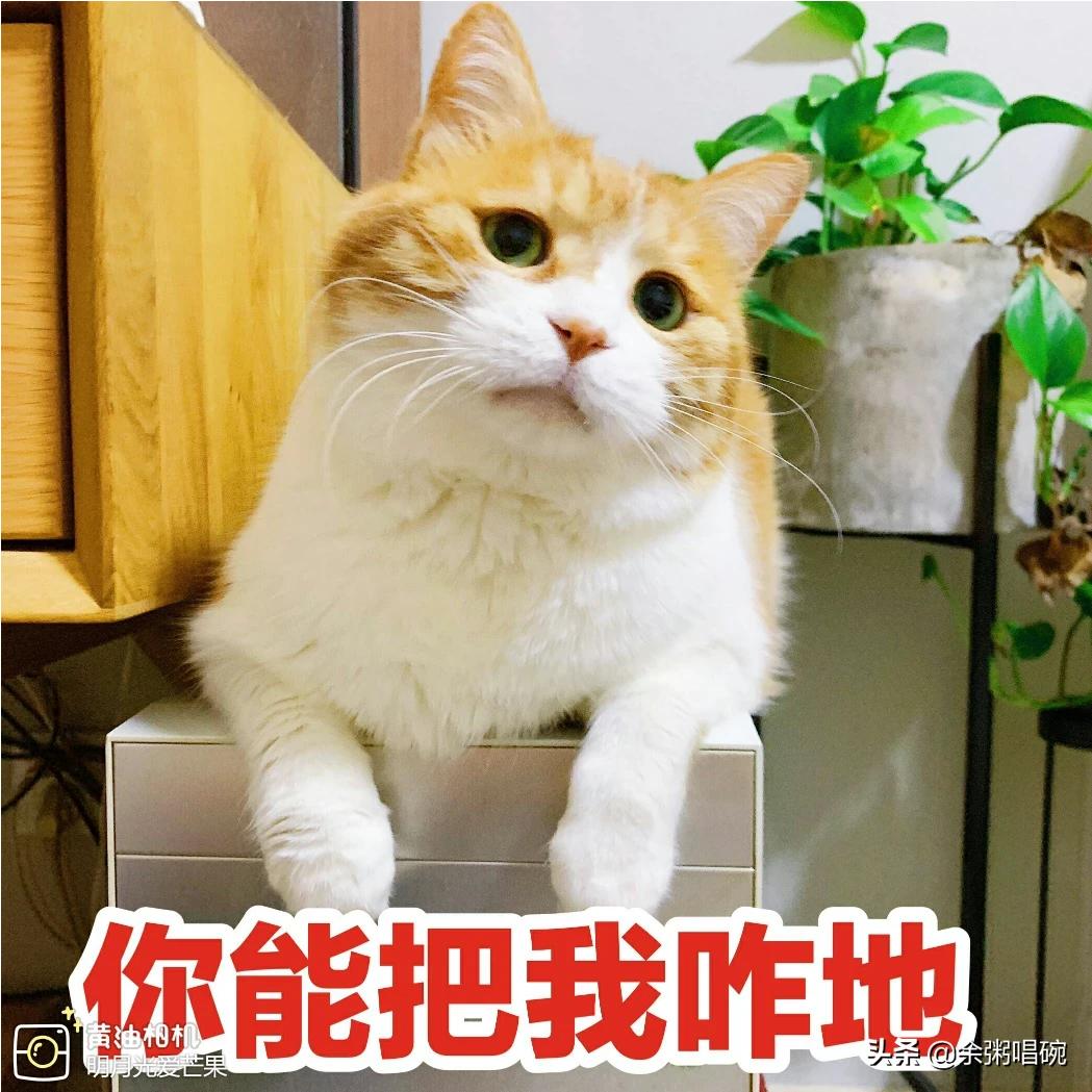 继续的朋友们第51话，继续的朋友们第51话_第1集