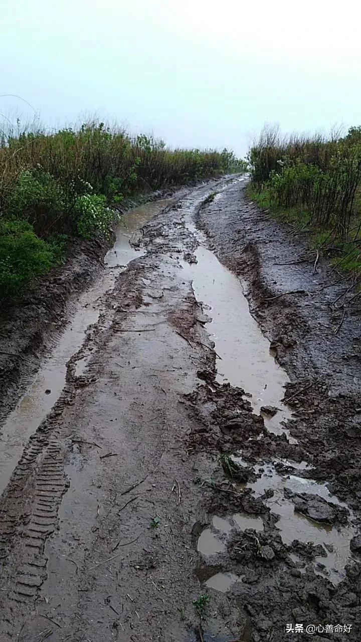 奇骏二手车