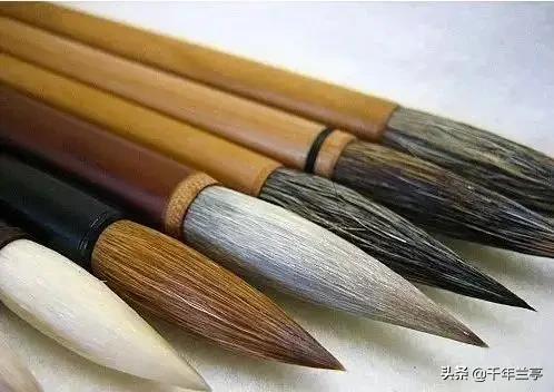 正楷带点草书字体怎么写