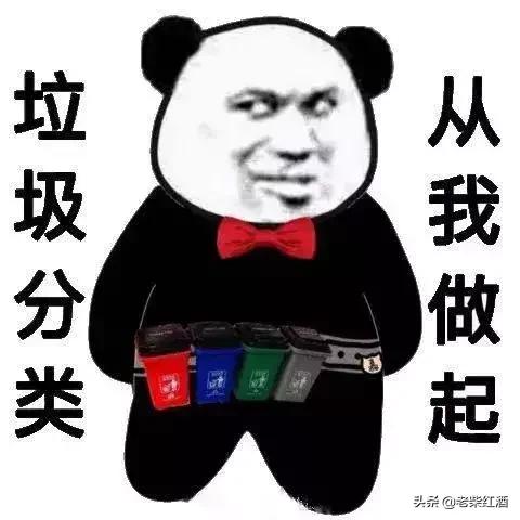 [上海扔东西要花几百]上海小区如何倒垃圾？