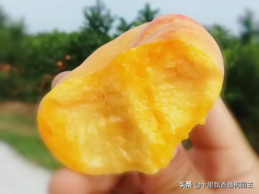 汽车报价前途,汽车报价前途怎么样