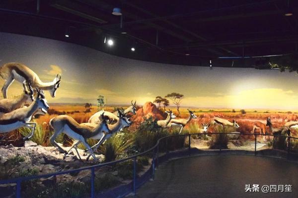 武汉市园博园属于什么区