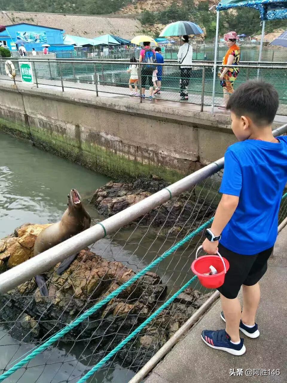 合肥市哪个地方有海 合肥市哪个地方有海