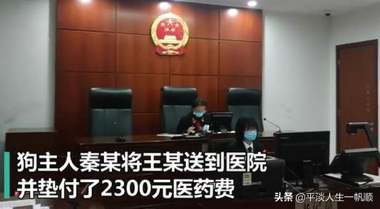 未牵绳大狗扑1岁娃