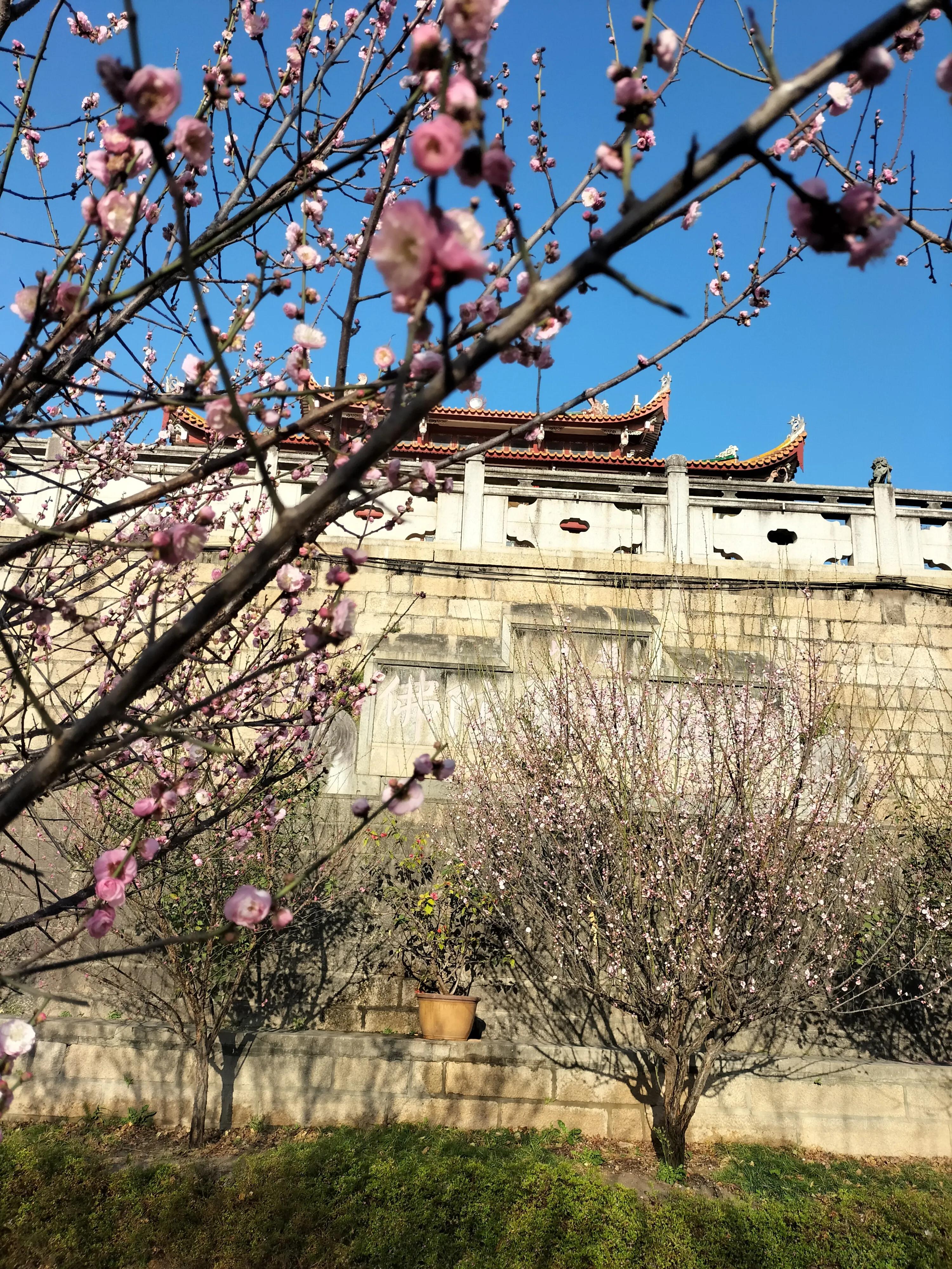 外卖员收北大录取书