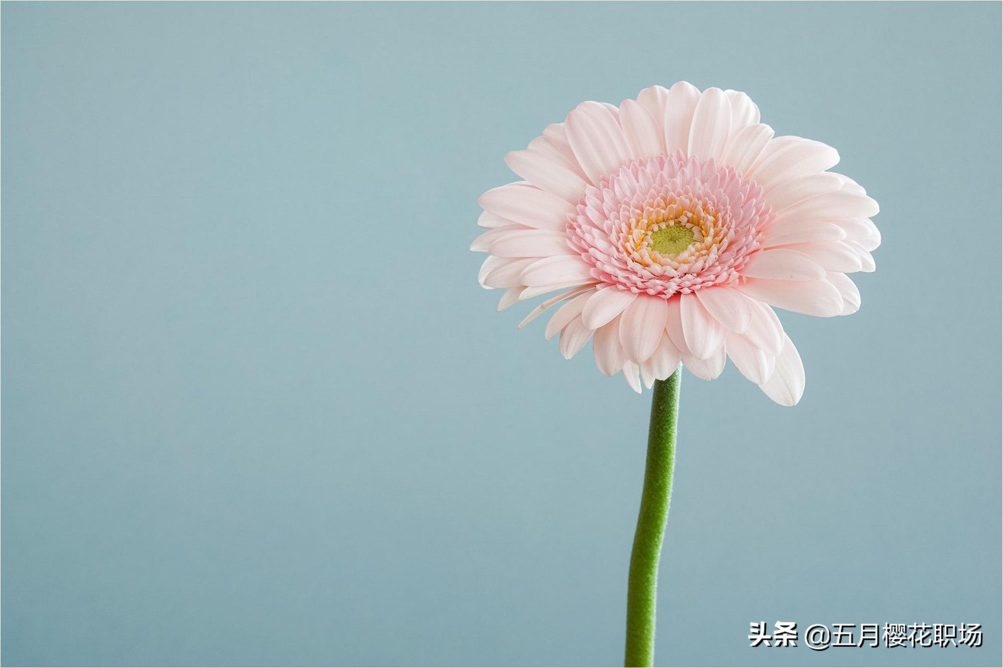 西安市五十岁有什么工作