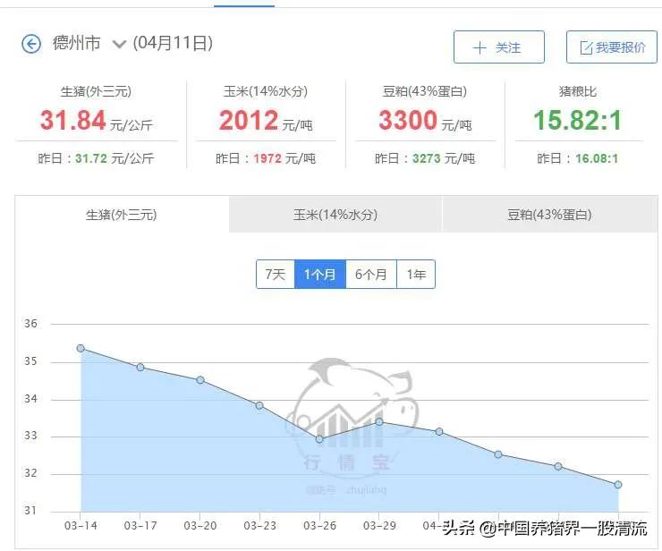 山东国际汽车报价官网,山东国际汽车报价官网电话