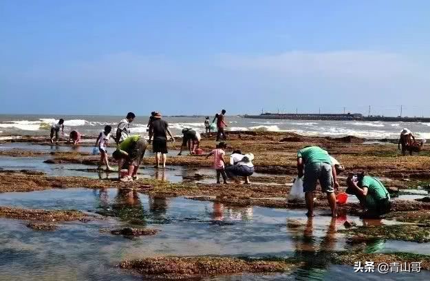 厦门后田渔村文化介绍? 厦门后田渔村文化介绍?