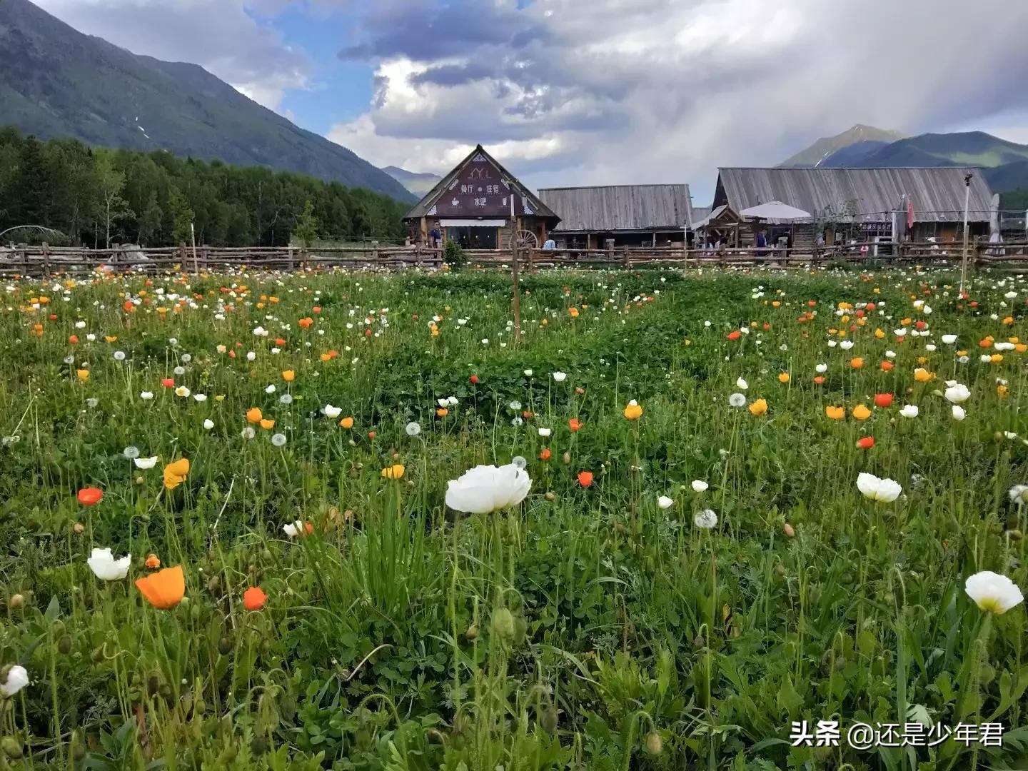 旅行汽车报价别克,别克旅行车价格