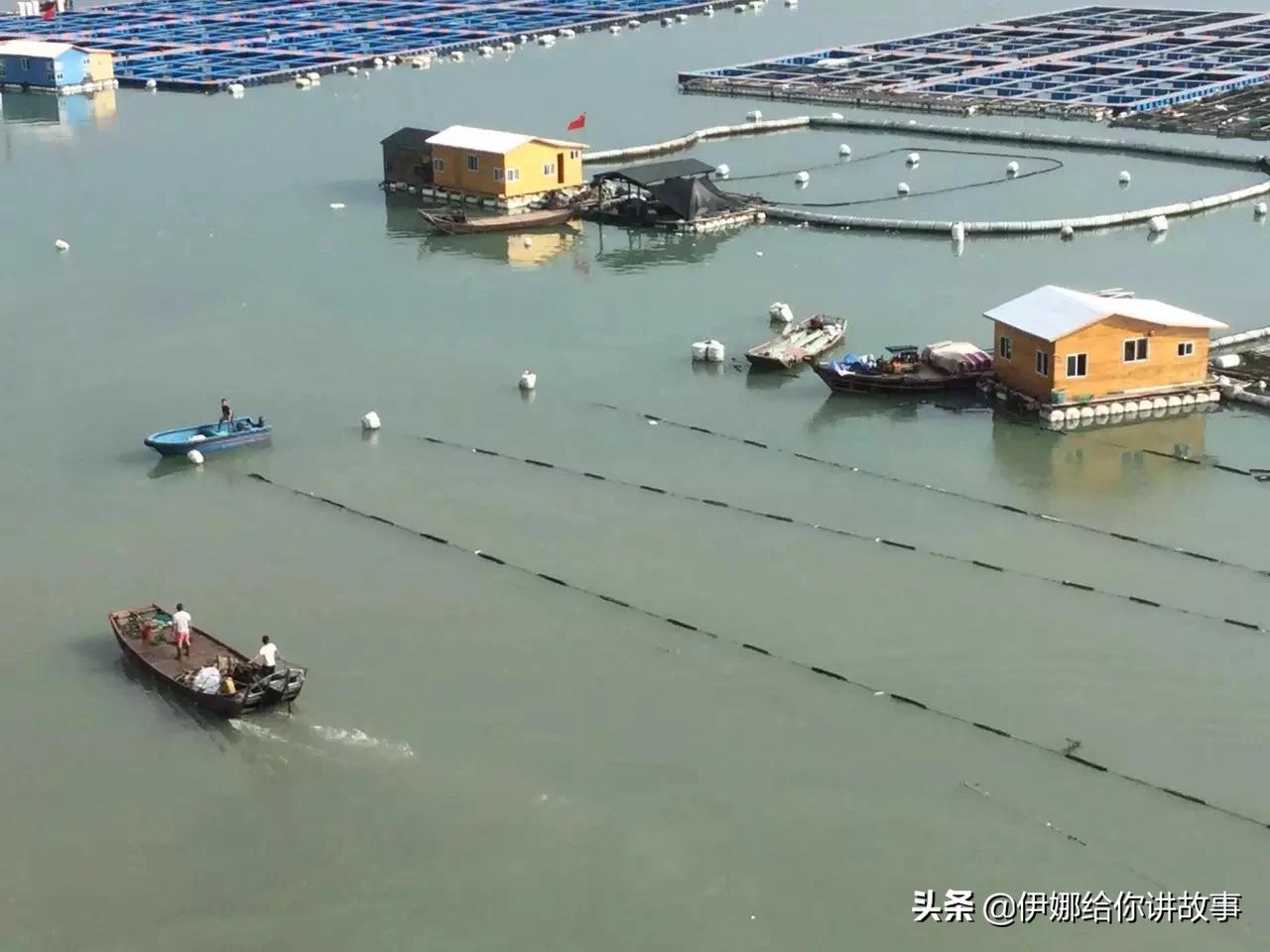 福建哪里人家里最爱干净？