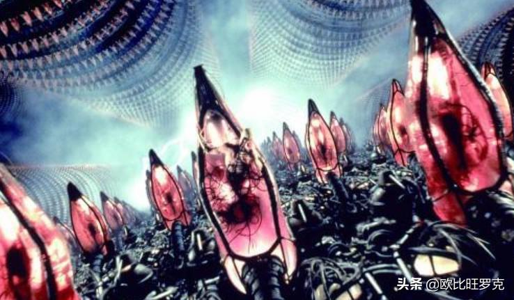 智能大脑视频素材网站下载,大脑是如何产生智能的?