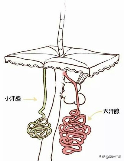 爬山拍照化妆技巧
