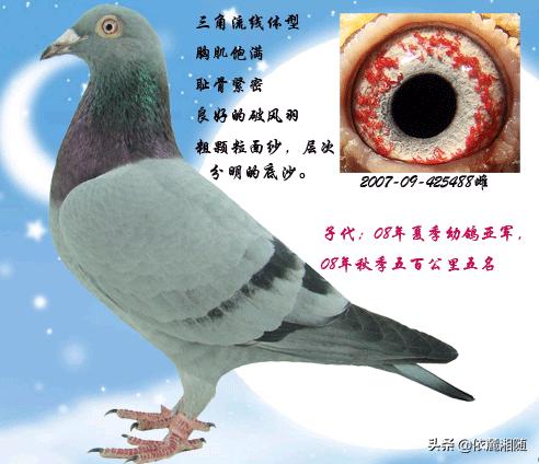 赛事产业分析方案（互联网电子竞技比赛属于什么行业？）