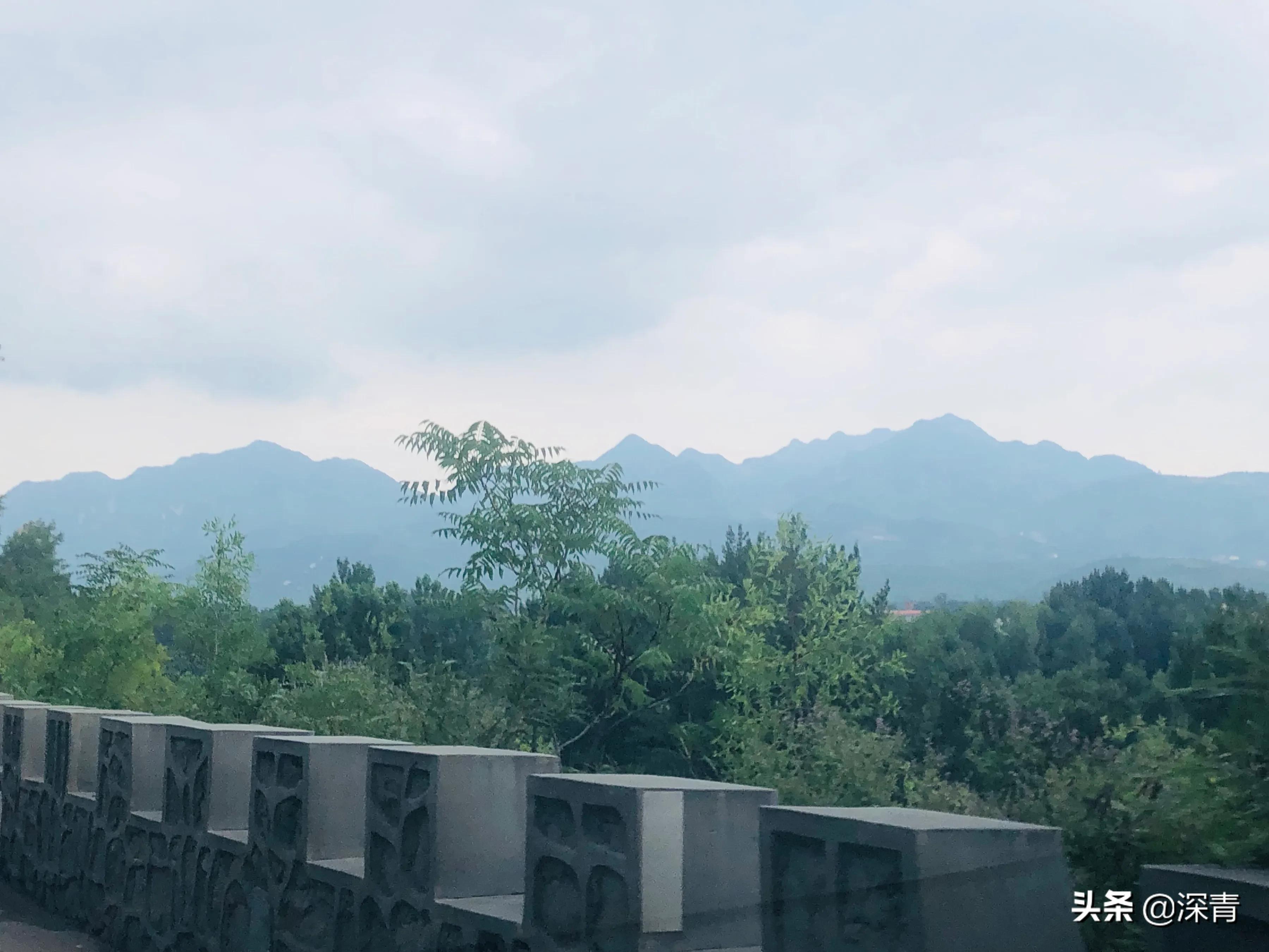 旅行遇车祸致1死4伤旅行车祸事故赔偿