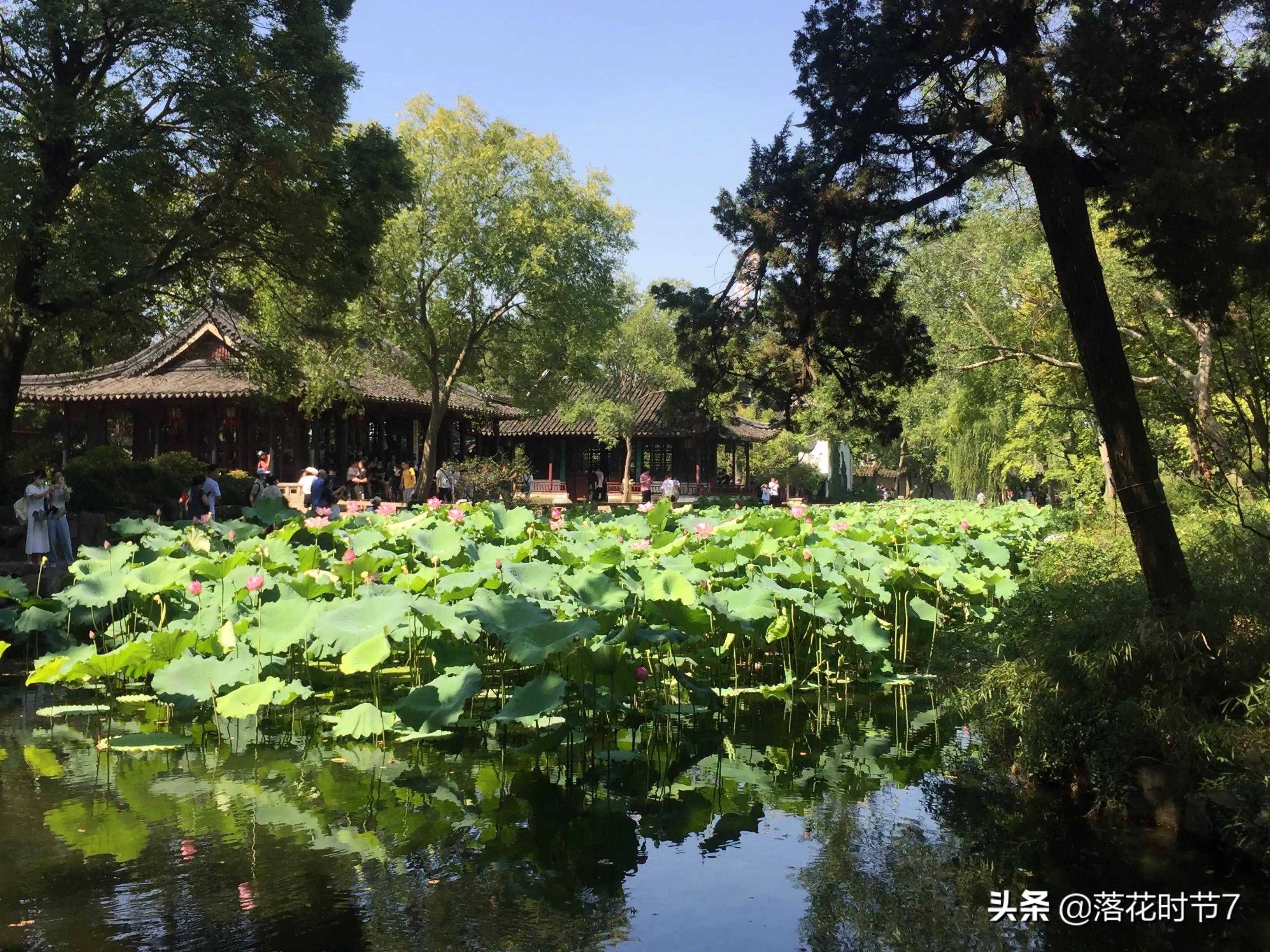 庆祝建党100周年内容？：党的图片