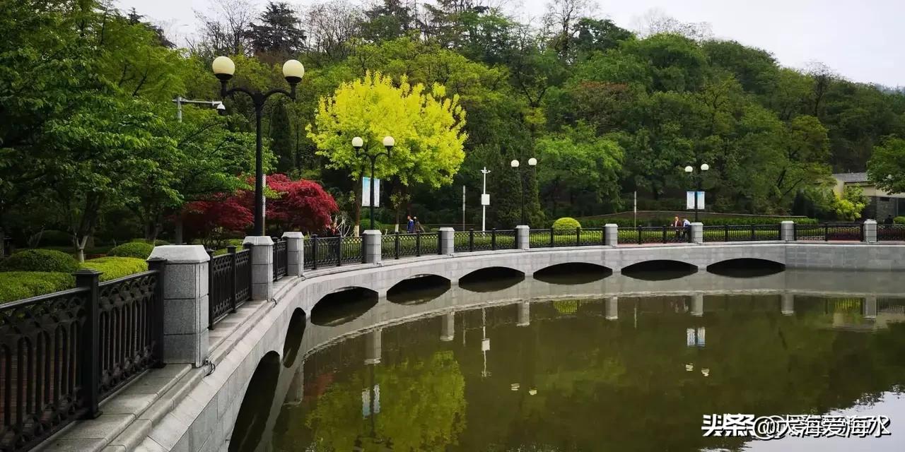 海外生活 抓海鲜视频，海外生活 抓海鲜视频大全