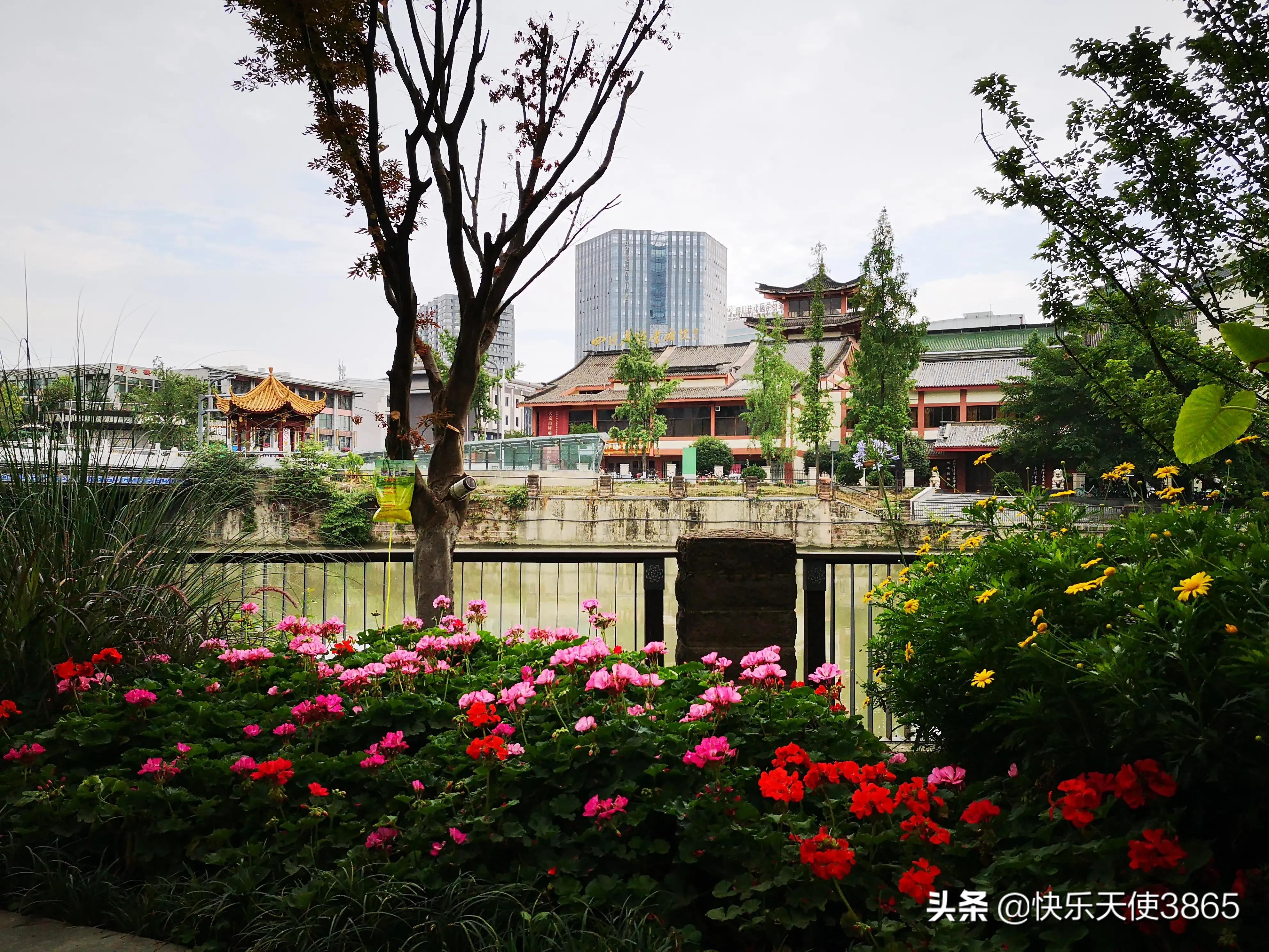 海外生活 旅游现状分析，海外生活 旅游现状分析论文