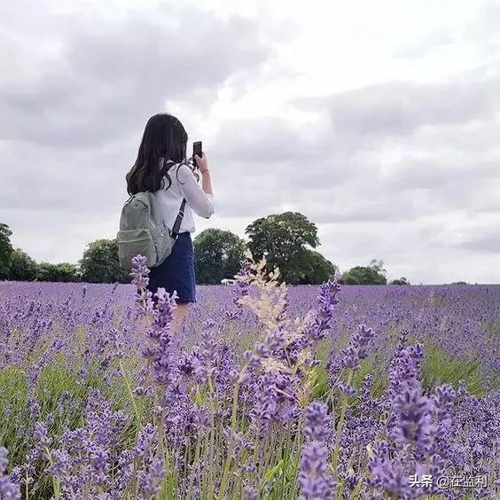 手机摄影也能抓住“决定性瞬间”,你可以分享一下这些瞬间吗?:决定性瞬间 手机摄影也能抓住“决定性瞬间”,你可以分享一下这些瞬间吗?:决定性瞬间