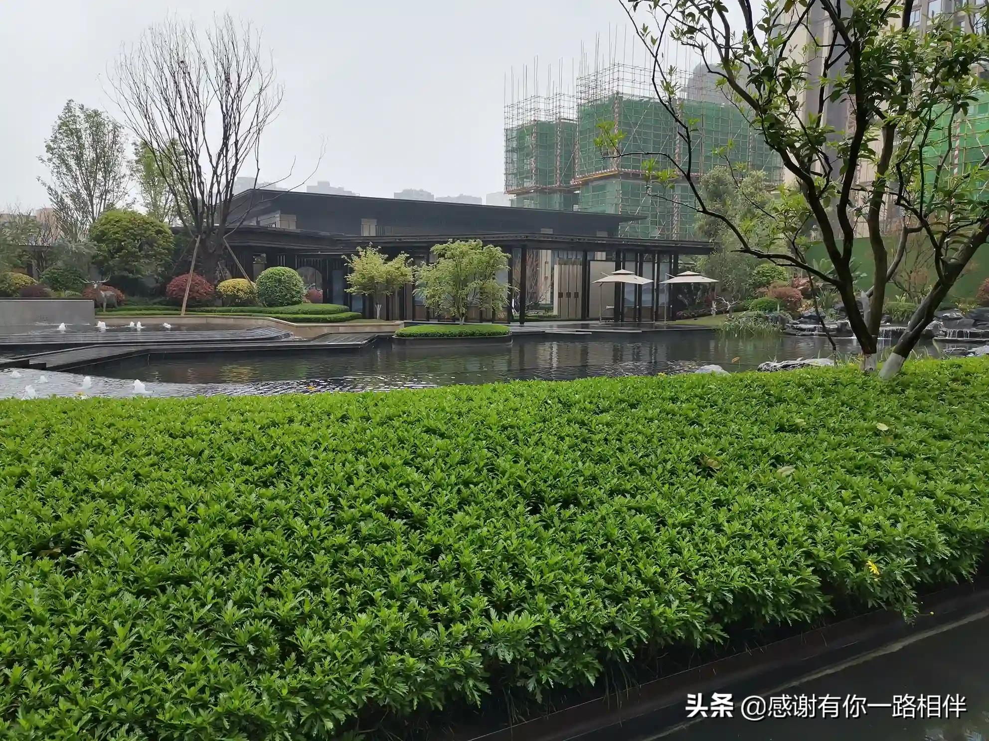 海外生活中外夫妻，海外夫妇