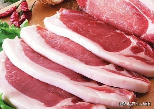 合肥市猪肉是什么价位